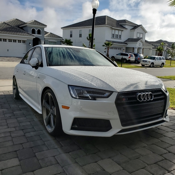 Meet your Posher, Rigel - Picture 2 of 8